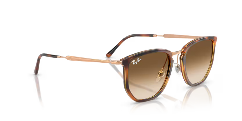 Ray-Ban 0RB4451