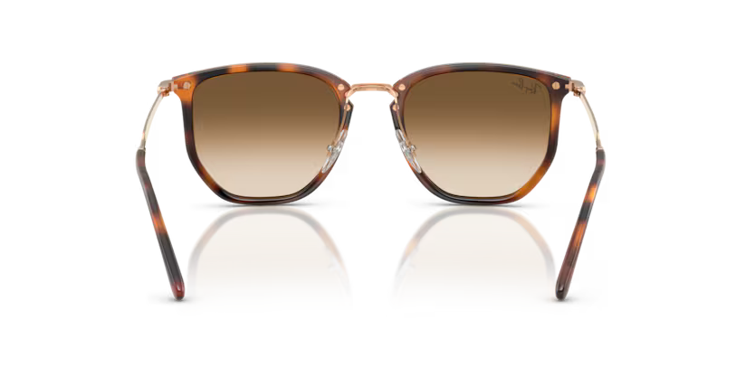 Ray-Ban 0RB4451