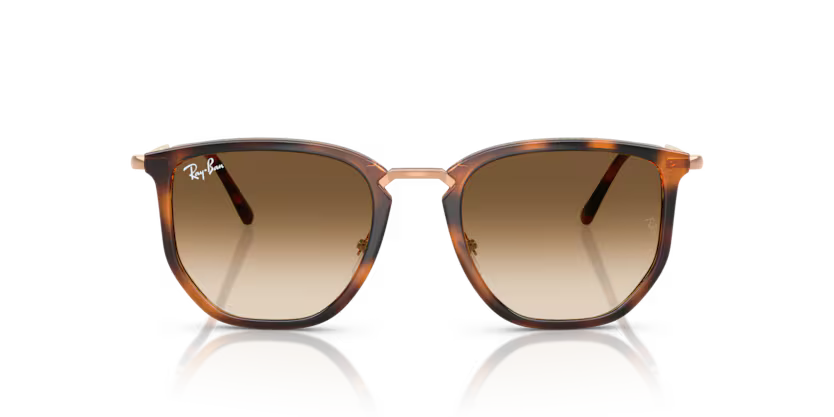 Ray-Ban 0RB4451