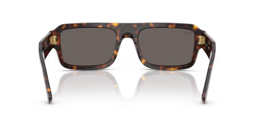 Ray-Ban 0RB4454