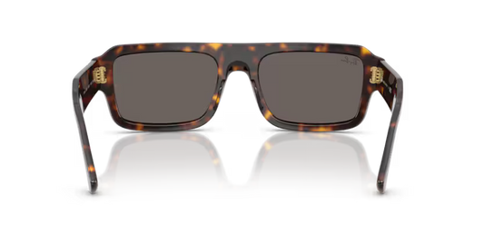 Ray-Ban 0RB4454