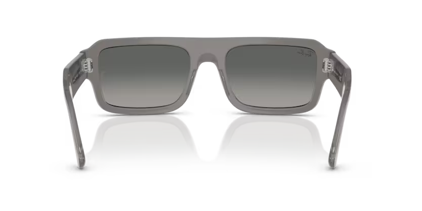 Ray-Ban 0RB4454