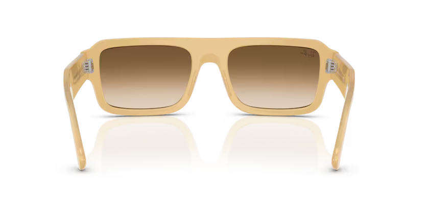 Ray-Ban 0RB4454