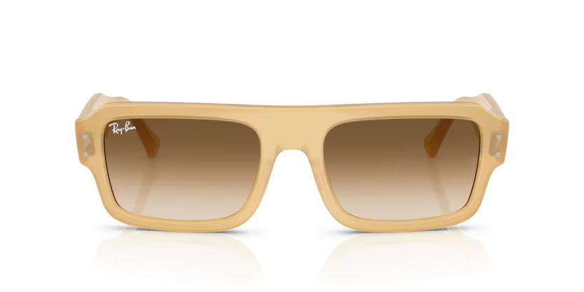 Ray-Ban 0RB4454