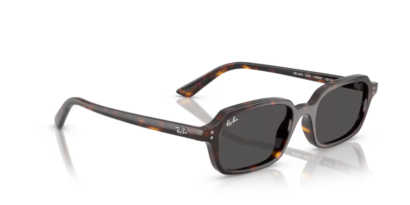 Ray-Ban 0RB4455