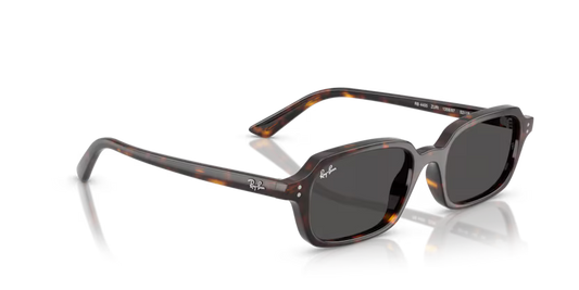 Ray-Ban 0RB4455