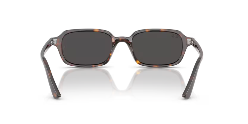 Ray-Ban 0RB4455
