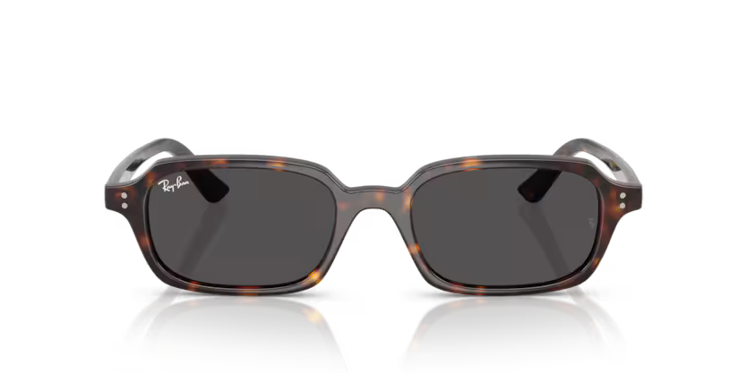 Ray-Ban 0RB4455