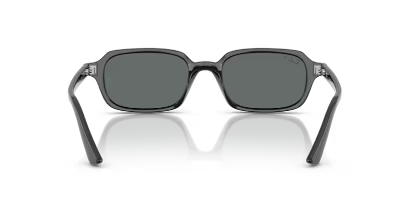 Ray-Ban 0RB4455