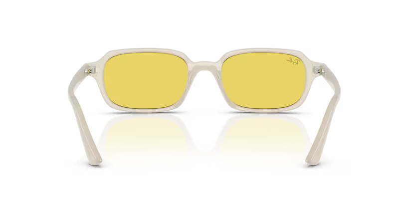 Ray-Ban 0RB4455
