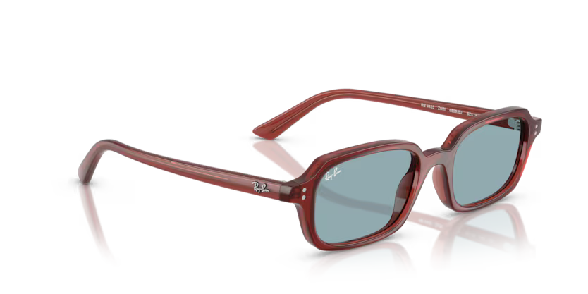 Ray-Ban 0RB4455