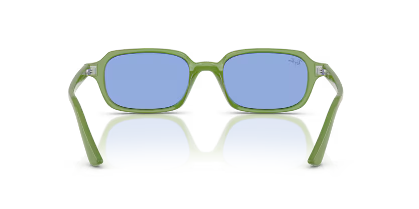 Ray-Ban 0RB4455