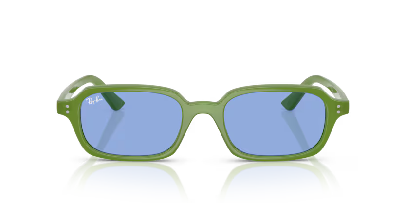 Ray-Ban 0RB4455