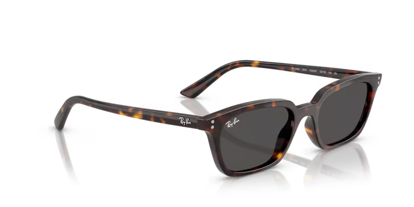 Ray-Ban 0RB4456