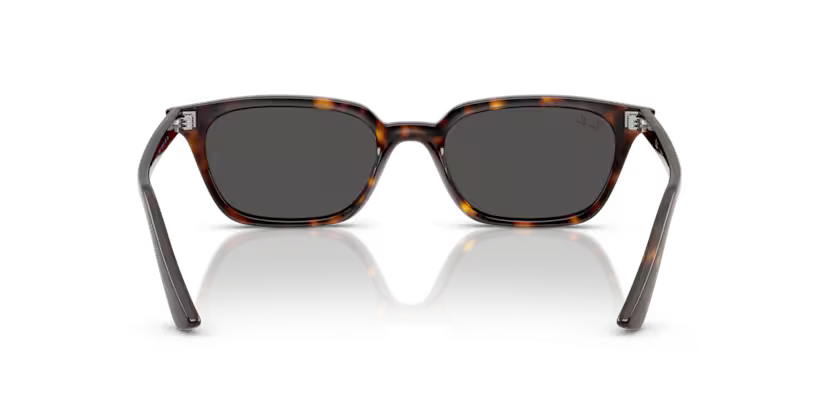 Ray-Ban 0RB4456