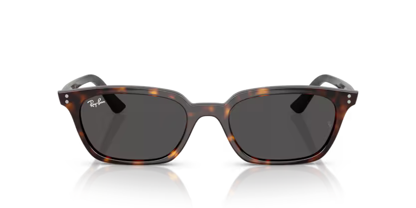 Ray-Ban 0RB4456