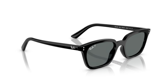 Ray-Ban 0RB4456