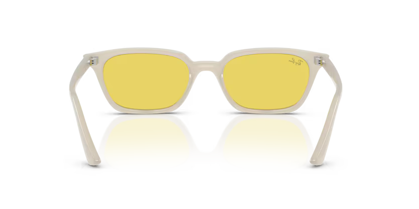 Ray-Ban 0RB4456