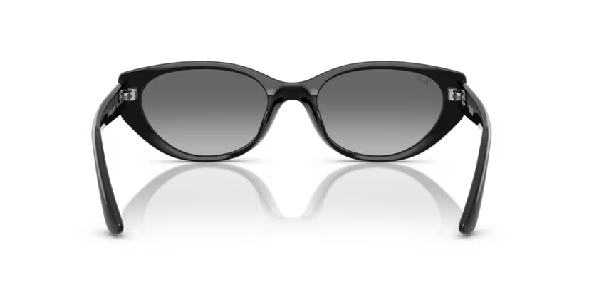 Ray-Ban 0RB4457D