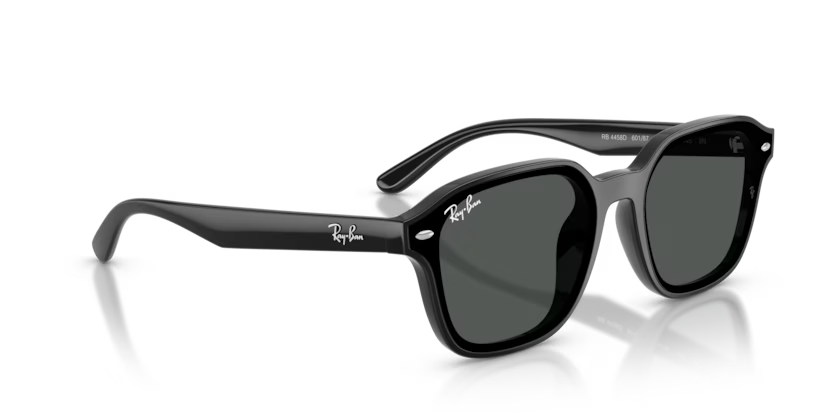Ray-Ban 0RB4458D