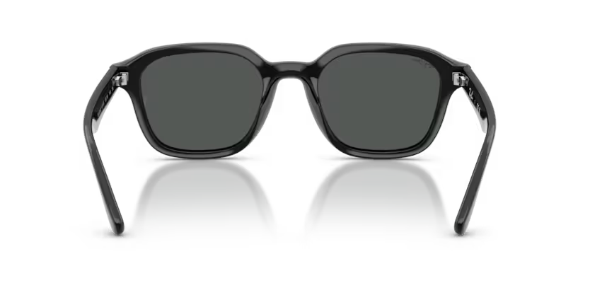 Ray-Ban 0RB4458D