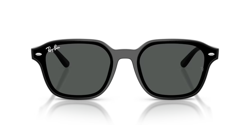 Ray-Ban 0RB4458D