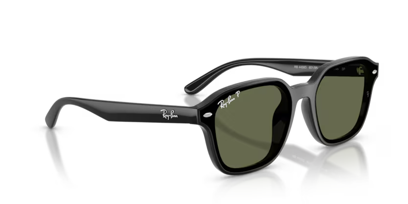 Ray-Ban 0RB4458D