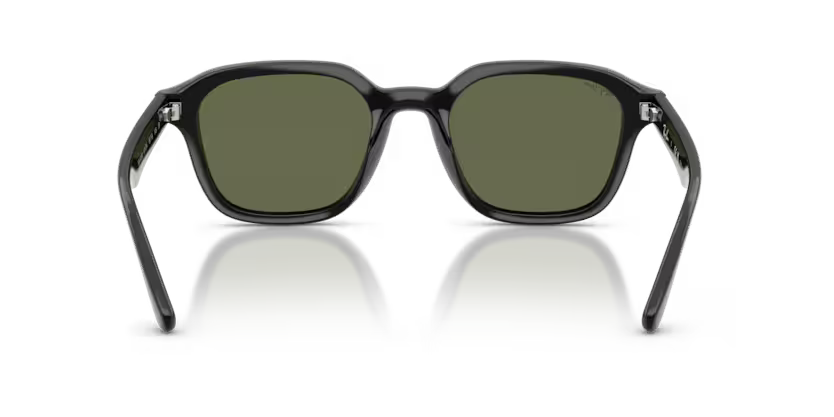 Ray-Ban 0RB4458D