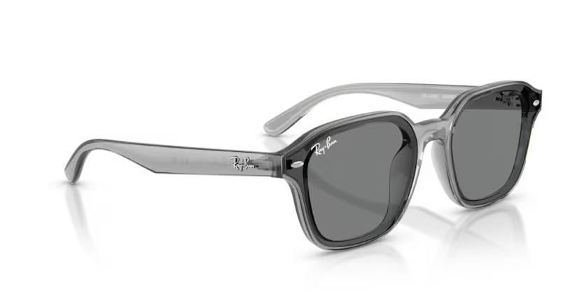 Ray-Ban 0RB4458D