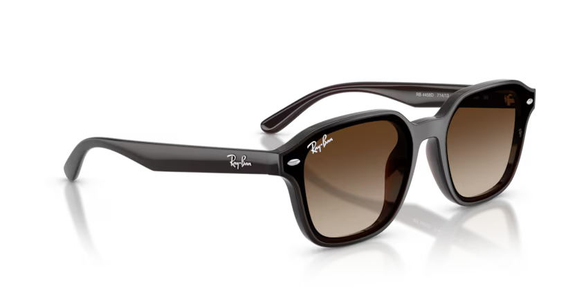 Ray-Ban 0RB4458D
