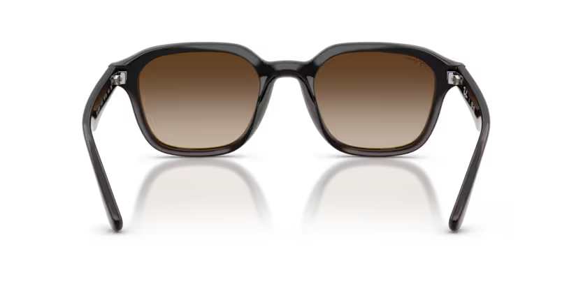 Ray-Ban 0RB4458D
