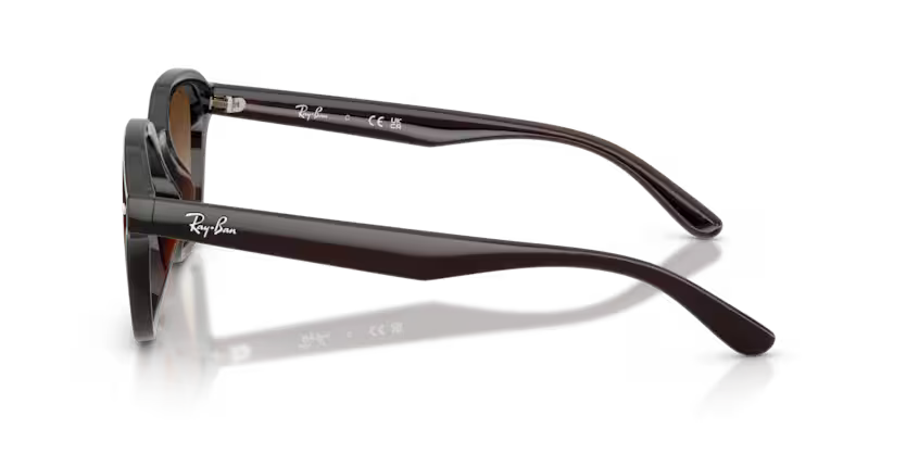 Ray-Ban 0RB4458D