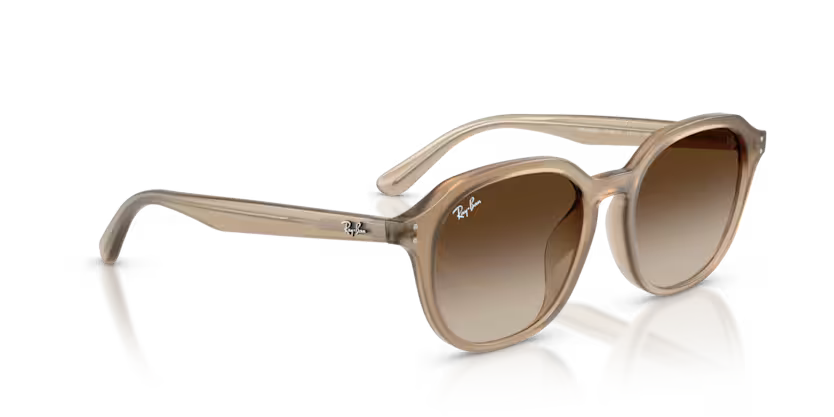 Ray-Ban 0RB4459D