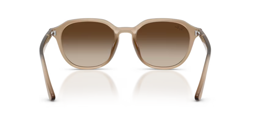 Ray-Ban 0RB4459D
