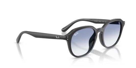 Ray-Ban 0RB4459D