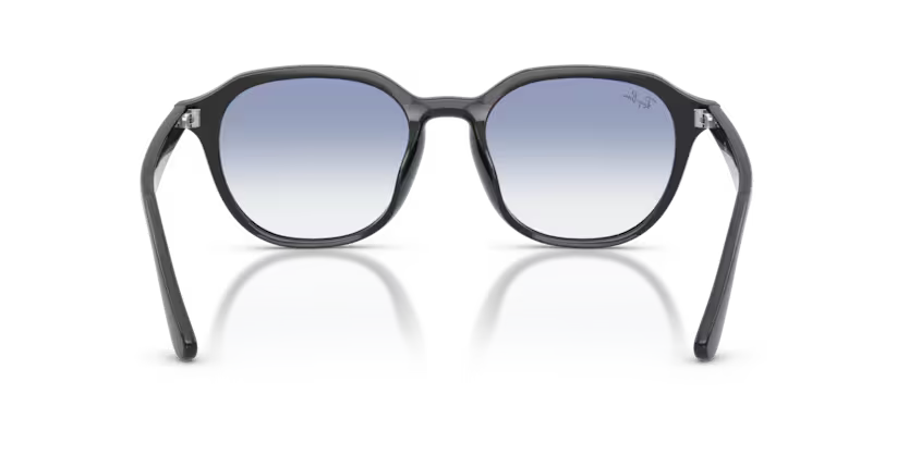 Ray-Ban 0RB4459D