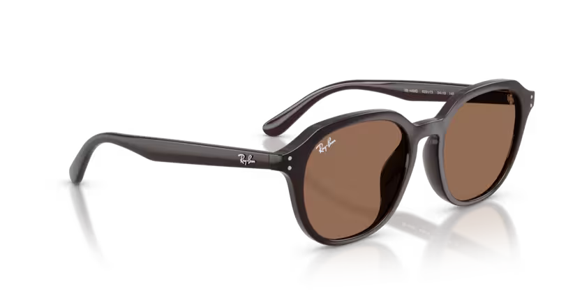 Ray-Ban 0RB4459D