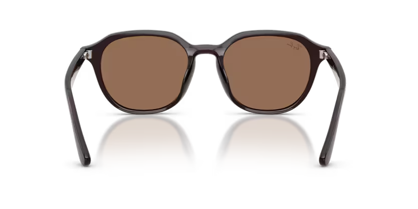 Ray-Ban 0RB4459D