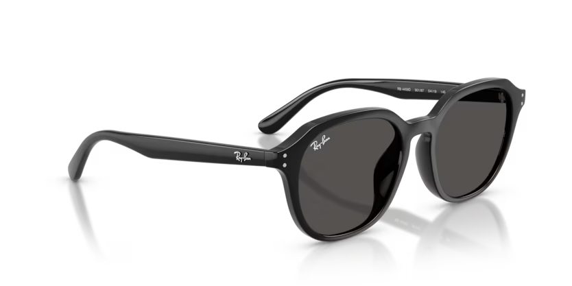 Ray-Ban 0RB4459D