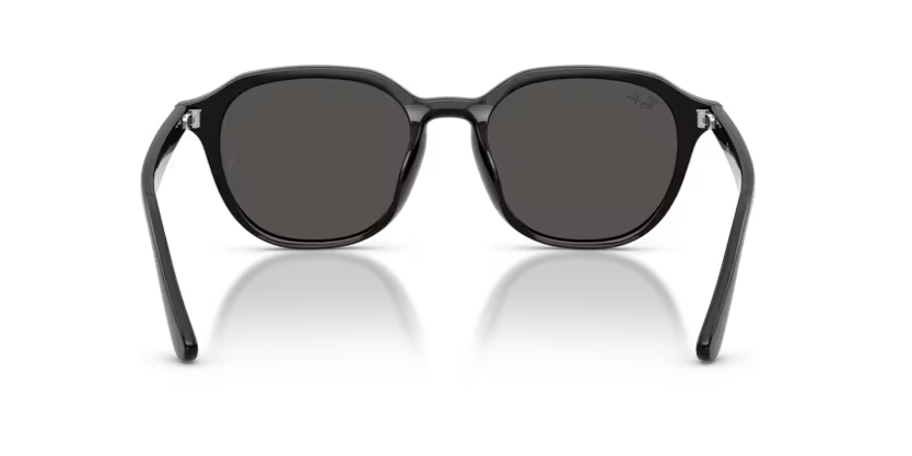 Ray-Ban 0RB4459D