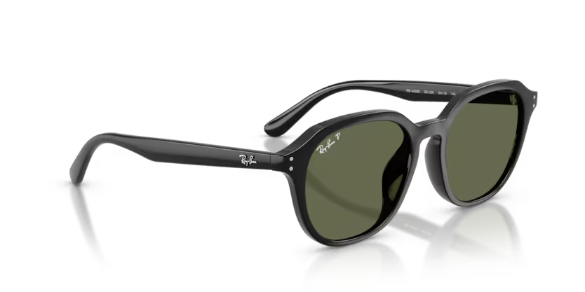 Ray-Ban 0RB4459D