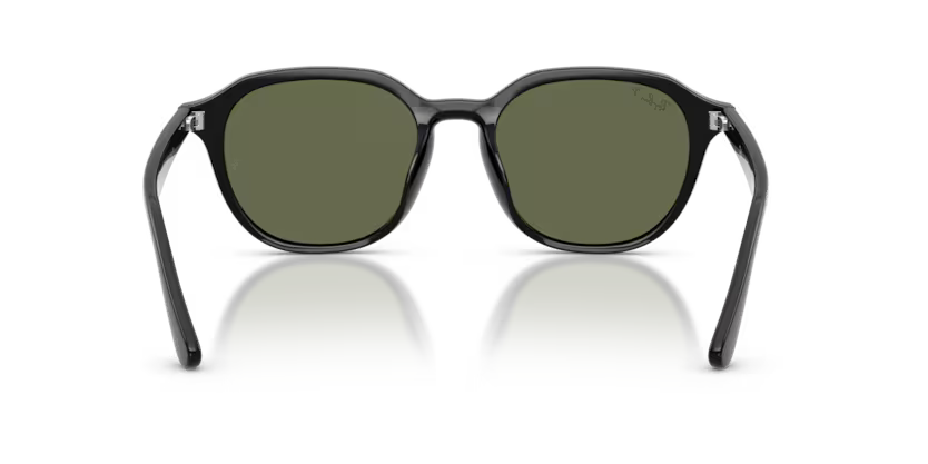 Ray-Ban 0RB4459D