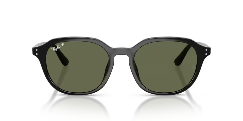 Ray-Ban 0RB4459D