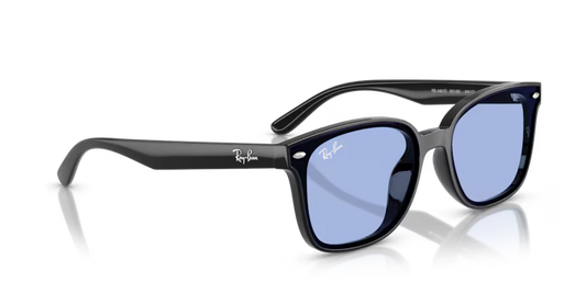 Ray-Ban 0RB4461D