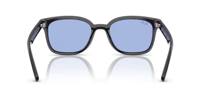 Ray-Ban 0RB4461D