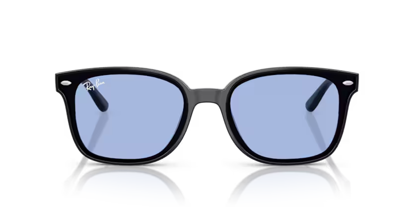 Ray-Ban 0RB4461D