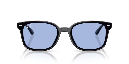 Ray-Ban 0RB4461D