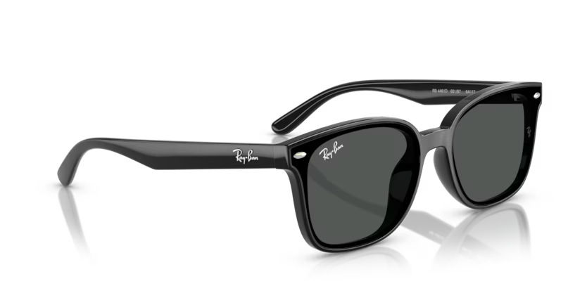 Ray-Ban 0RB4461D