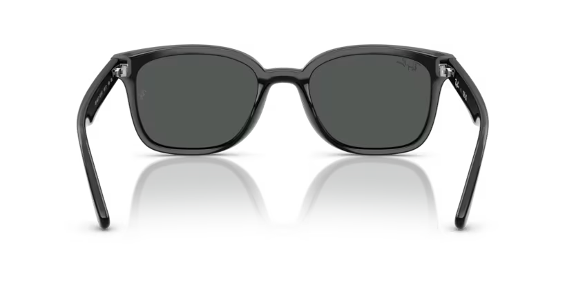 Ray-Ban 0RB4461D