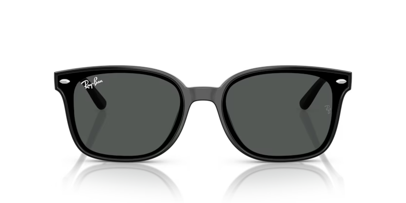 Ray-Ban 0RB4461D